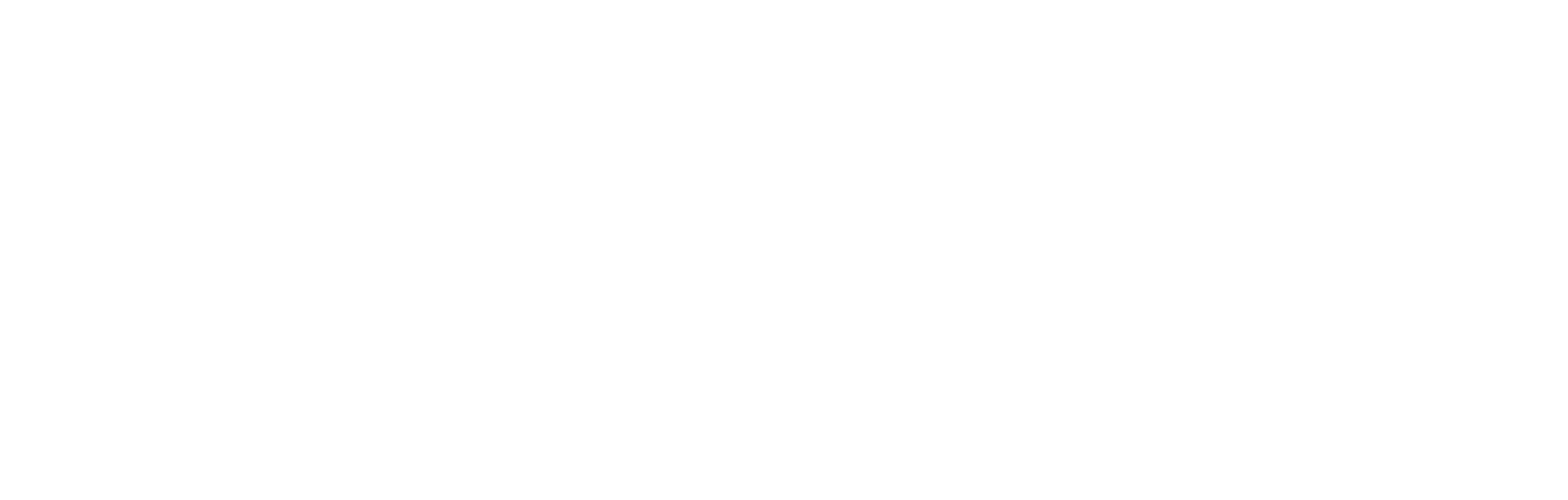 Logotipo Blanco Asociación Ludikal